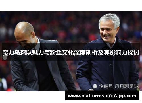 魔力鸟球队魅力与粉丝文化深度剖析及其影响力探讨